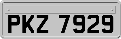 PKZ7929