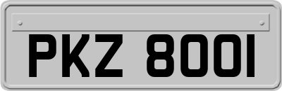 PKZ8001