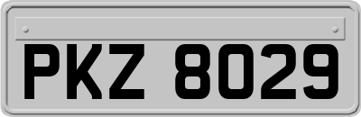 PKZ8029