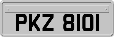 PKZ8101