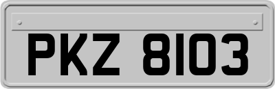 PKZ8103