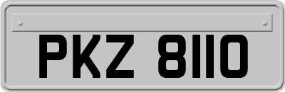 PKZ8110