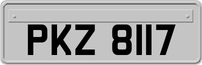 PKZ8117
