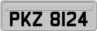PKZ8124
