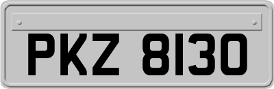 PKZ8130