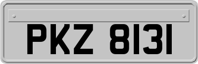 PKZ8131