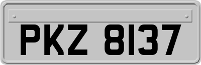 PKZ8137