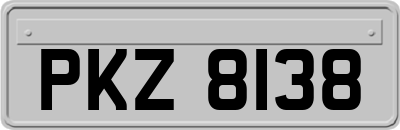 PKZ8138