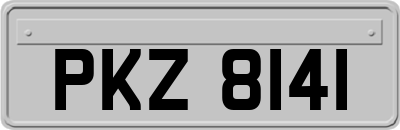 PKZ8141
