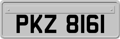 PKZ8161