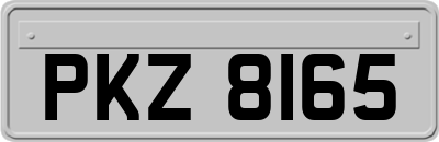 PKZ8165