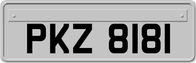 PKZ8181