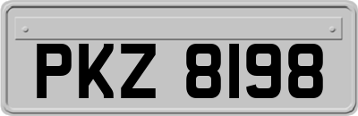 PKZ8198