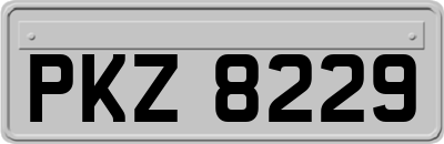 PKZ8229