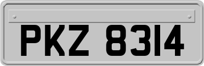 PKZ8314