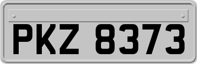 PKZ8373
