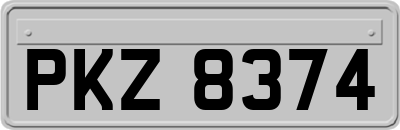 PKZ8374