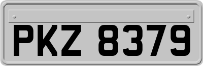PKZ8379