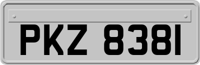 PKZ8381