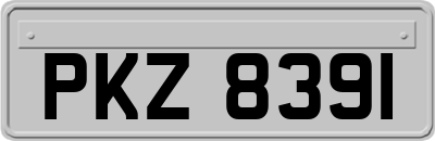 PKZ8391