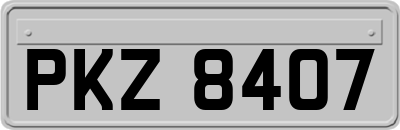 PKZ8407