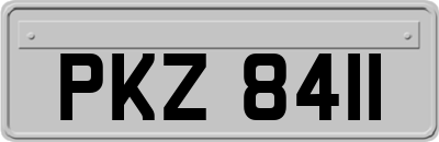 PKZ8411