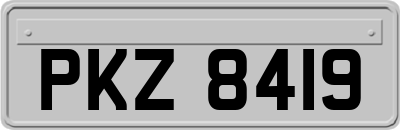 PKZ8419