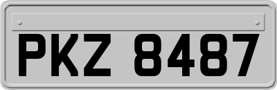 PKZ8487