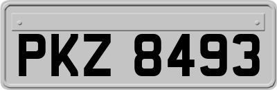 PKZ8493