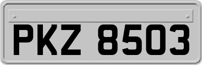 PKZ8503
