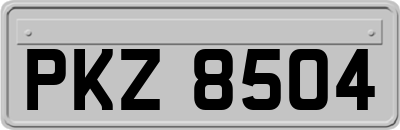 PKZ8504
