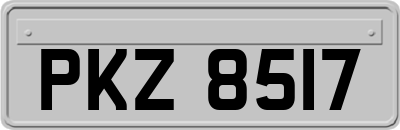 PKZ8517
