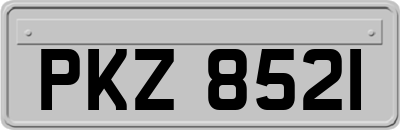 PKZ8521