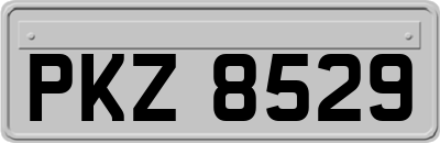 PKZ8529