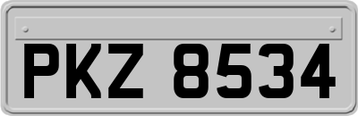 PKZ8534