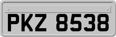 PKZ8538