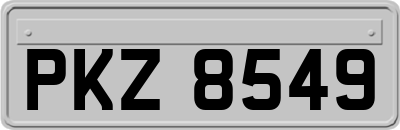 PKZ8549