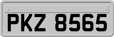PKZ8565