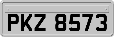 PKZ8573