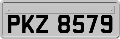 PKZ8579