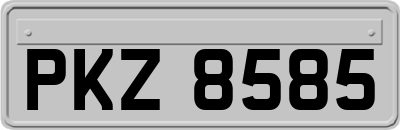 PKZ8585