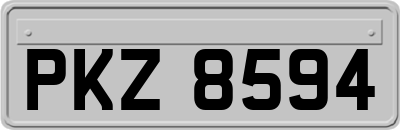 PKZ8594