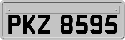 PKZ8595