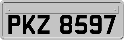 PKZ8597