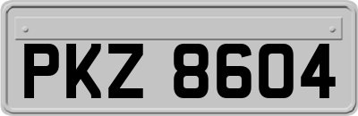 PKZ8604