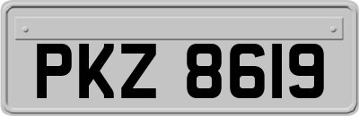 PKZ8619
