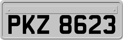 PKZ8623