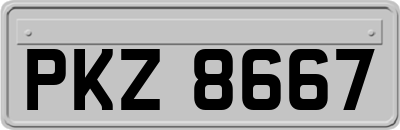 PKZ8667
