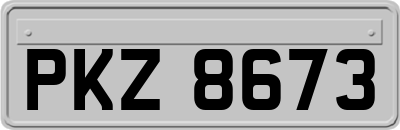 PKZ8673