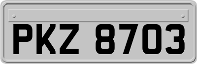 PKZ8703